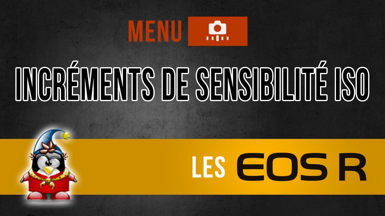 Les menus des Canon R - Incréments de sensibilité ISO