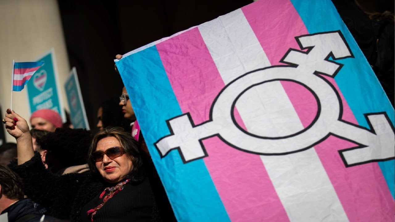 Trans and queer ideology 'infesting' education