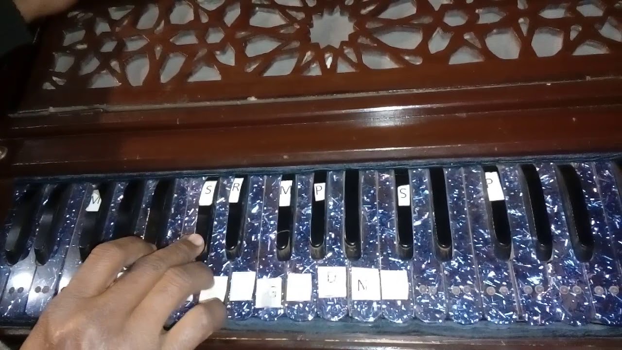 Raag gun kali Sargam palta by harmonium lesson