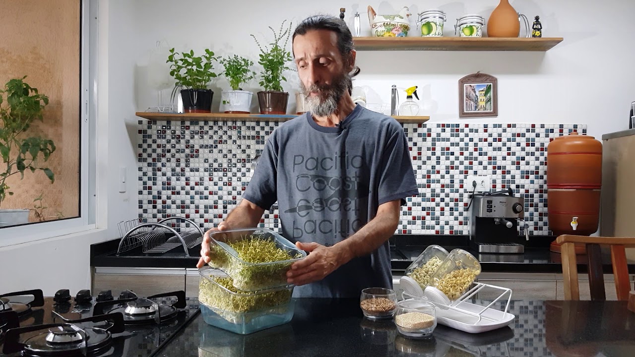 Conheça a diferença entre Brotos e Germinados!