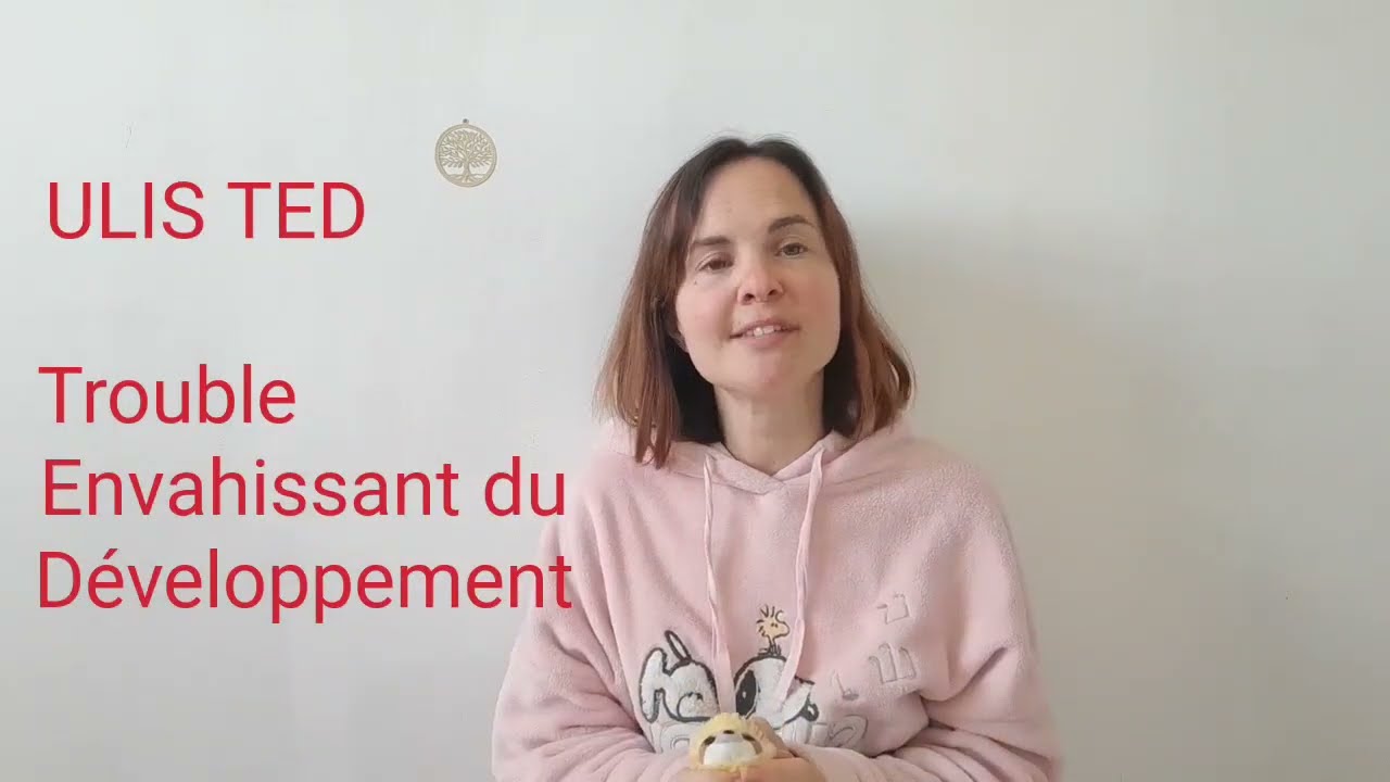 ULIS COLLÉGE : LA THÉORIE ET LA PRATIQUE