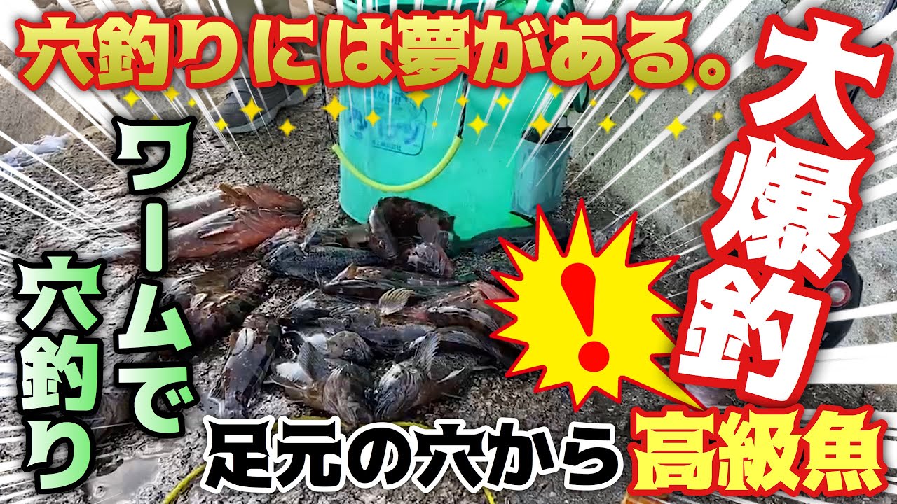 【穴釣り秋】穴釣りには夢がある。小さい穴から高級魚連発！