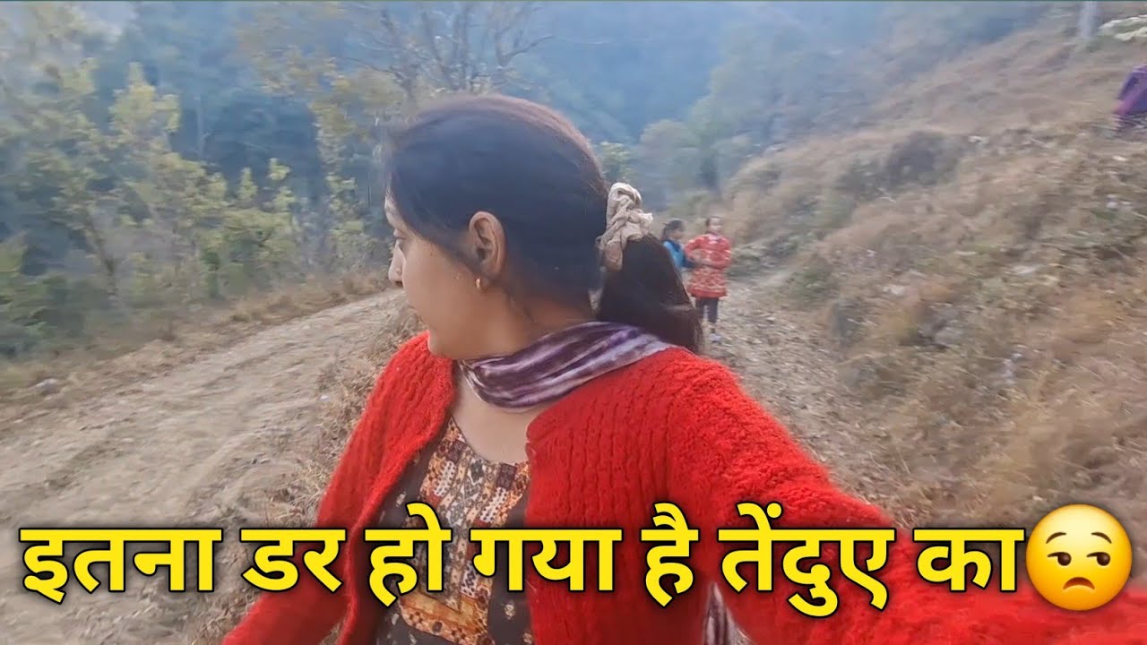 #vlog 115 बच्चों में भी डर बैठ गया है,और किया ये काम @TheDograVibes 