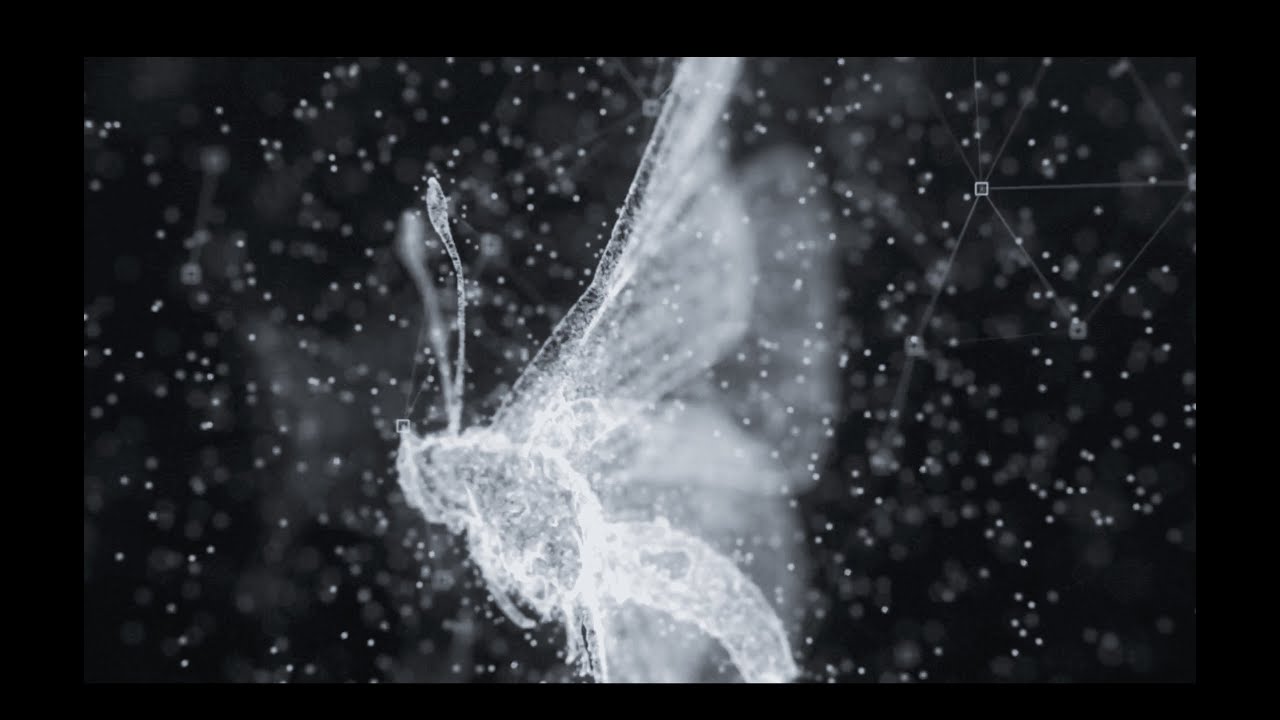 TIAB - 蝴蝶效應 [Official Lyrics Music Video]
