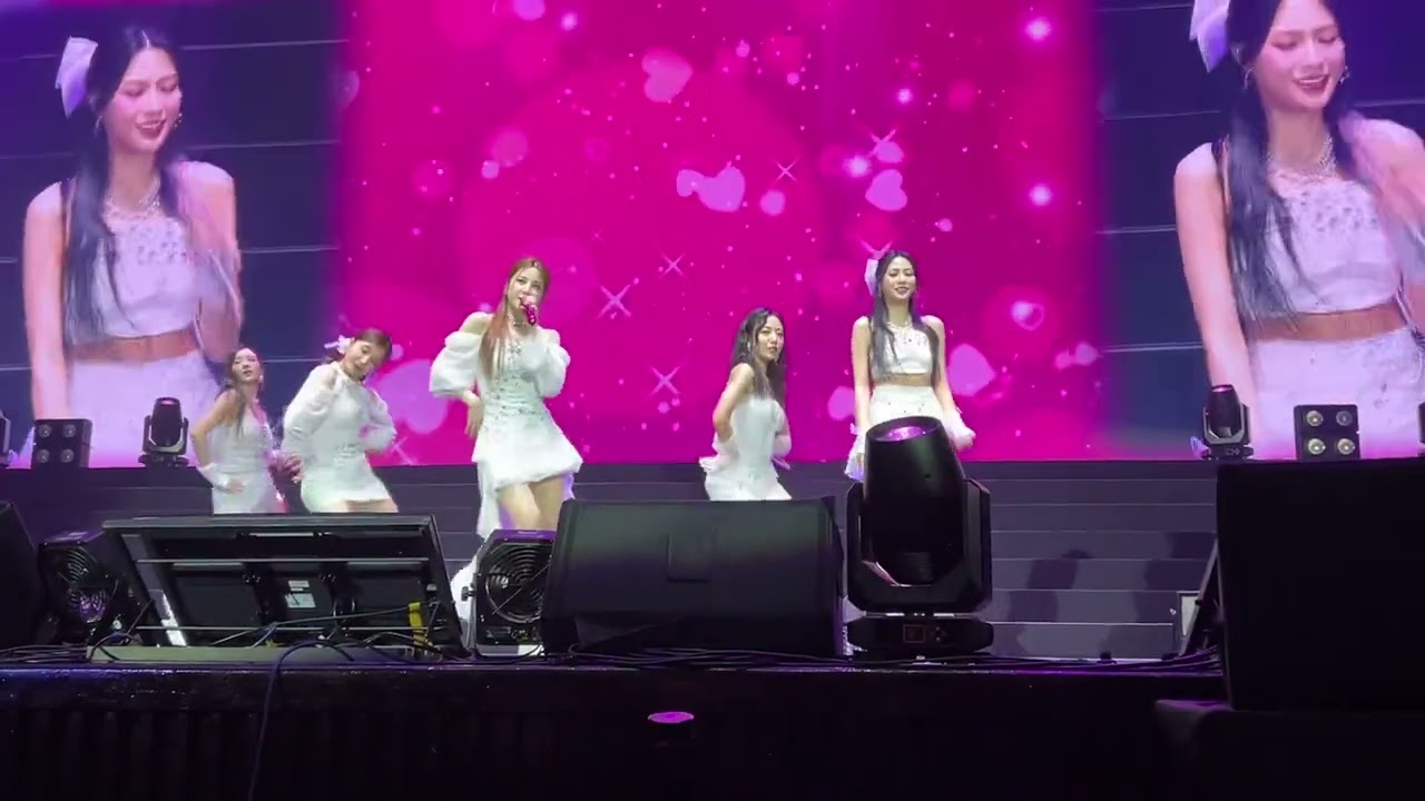 2025 Apink 7th CONCERT [PINK NEW YEAR] In TAIPEI_Remember & Mr. Chu