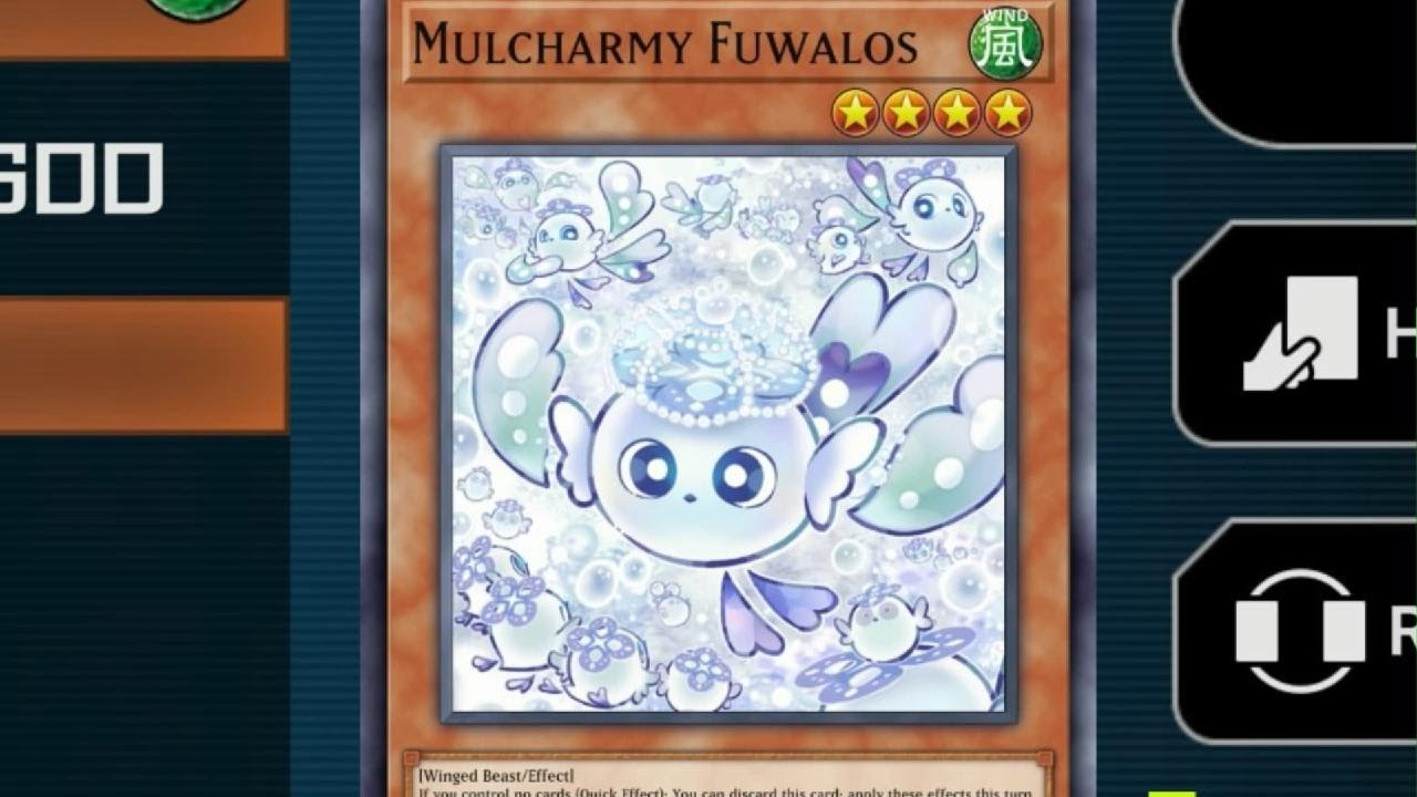 Dont Maxx C + Mulch against D/D/D!