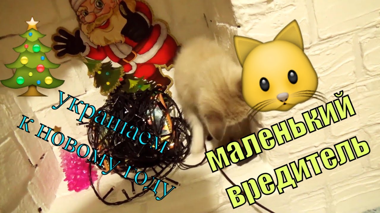 Украшаем  дом к новому 2020 году✨🎇🎄 наряжаем елку 🎋🎊