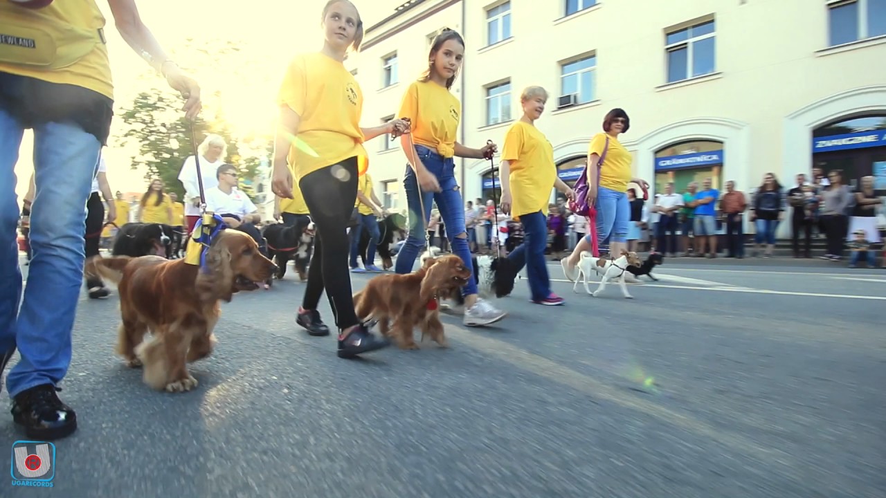 Valmieras Svētku Gājiens 2017