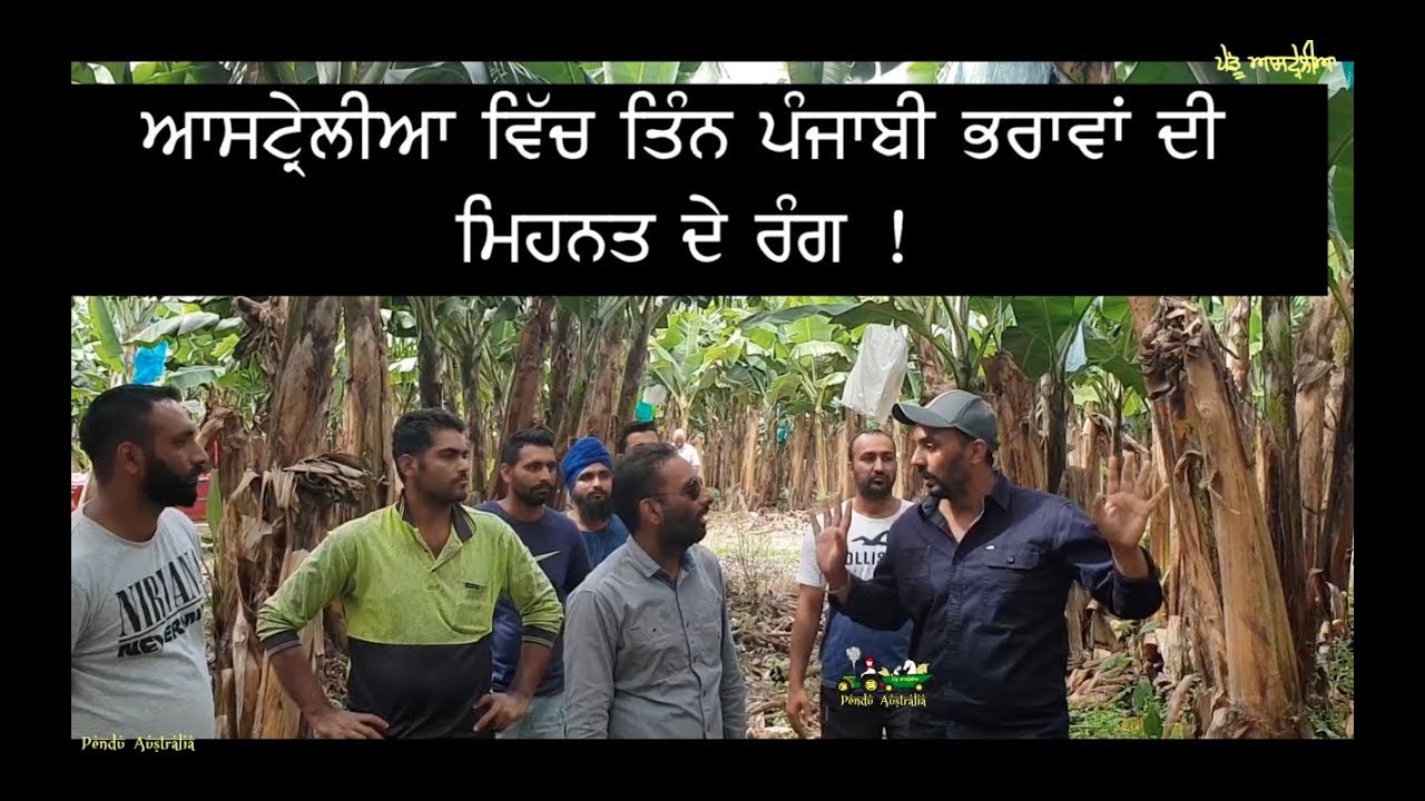 Pendu Australia | Episode 64 | Punjabi Travel Show | Banana Production