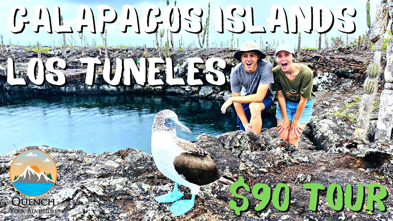 LOS TUNELES TOUR $90 | Was It Worth It? Isabela Island, Galapagos Islands, Ecuador