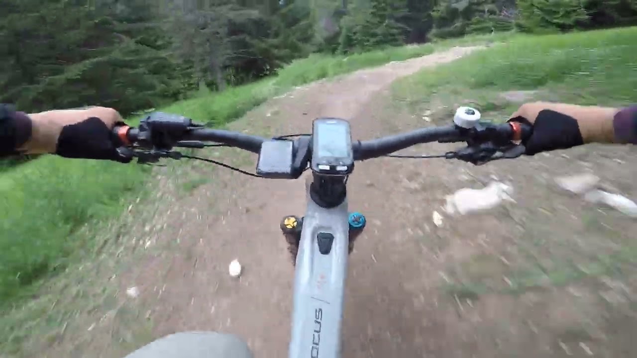 TRAIL ROSSO 15 06 2024 - Folgaline | Folgaride bikepark