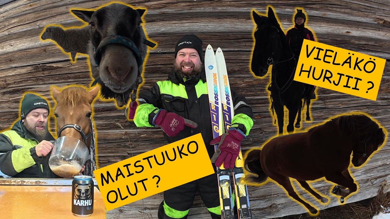 Urkki ja uusi yritys – Maistuuko Paukulle kalja?