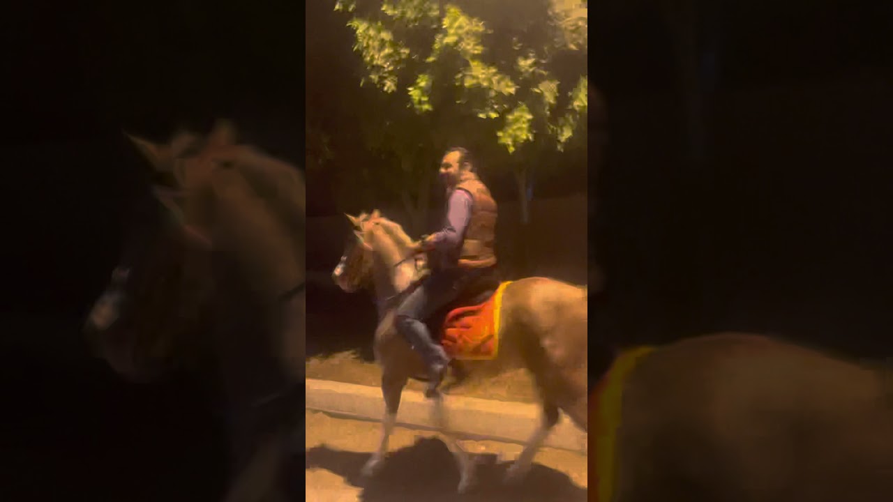 تكبيش الخيل بنزله السمان السقا