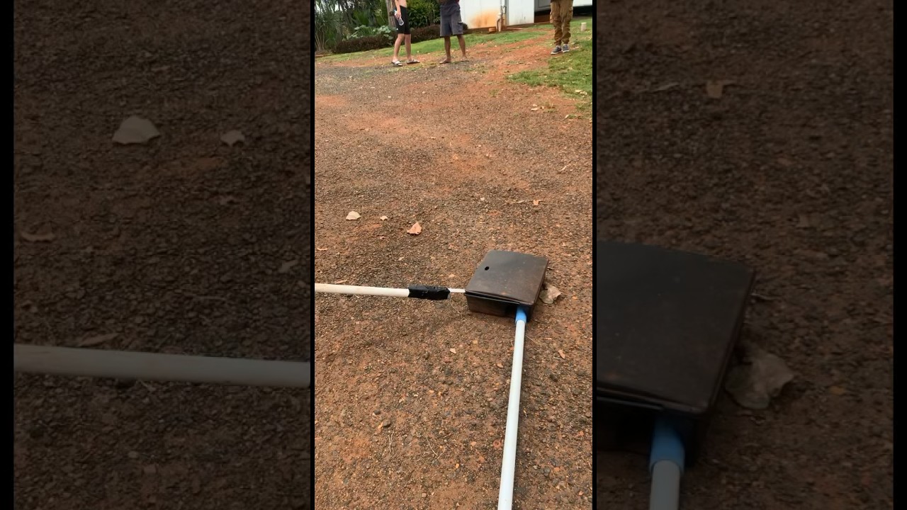 Eastern Brown snake attacks! World&rsquo;s second most venomous snake.