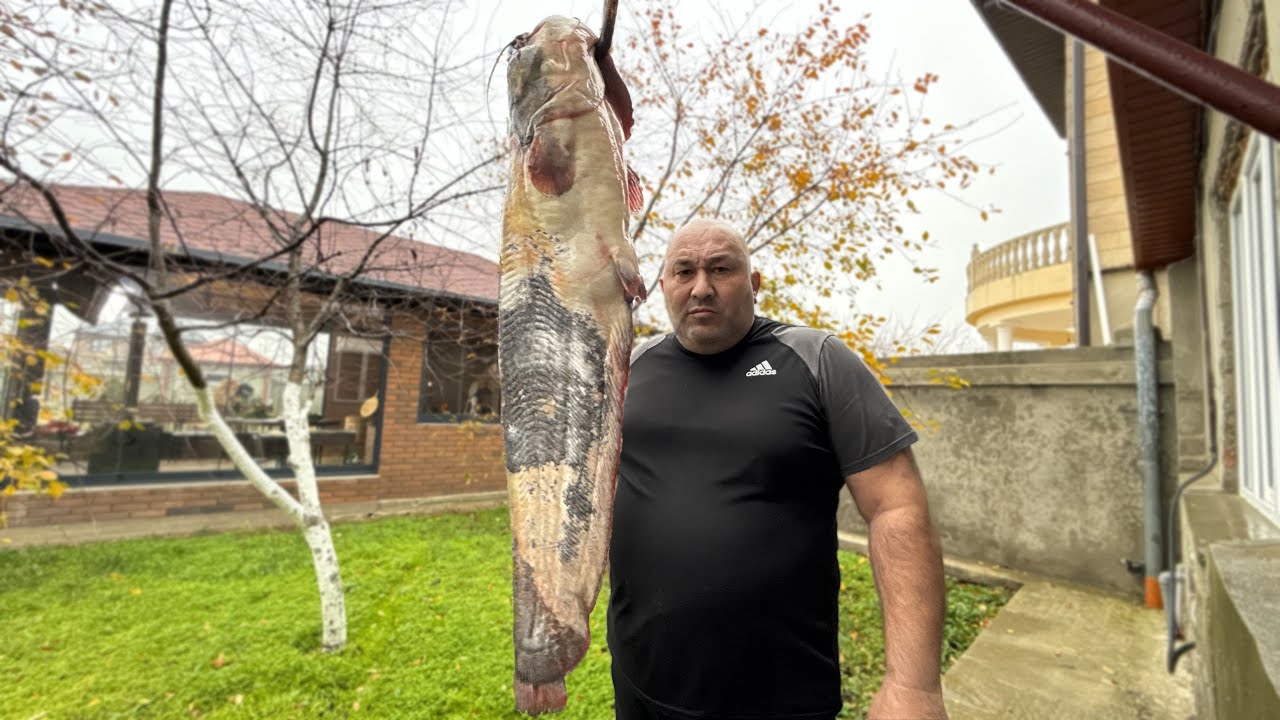 Приготовил Два Вкусных Блюда Из Огромной Рыбы !