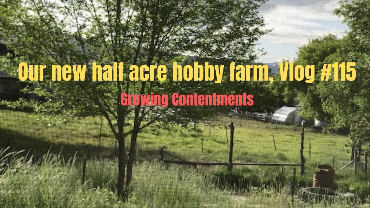 Our new half acre hobby farm, Vlog #115