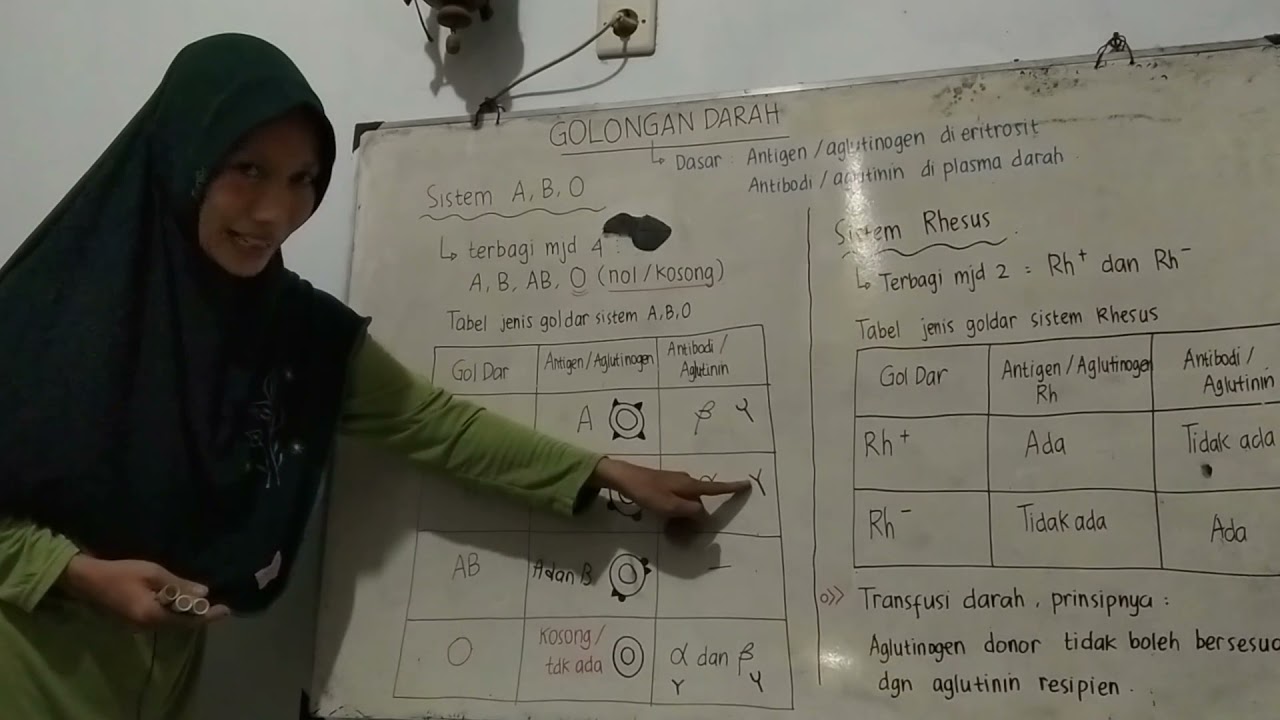 Golongan Darah, Materi Biologi Kelas XI