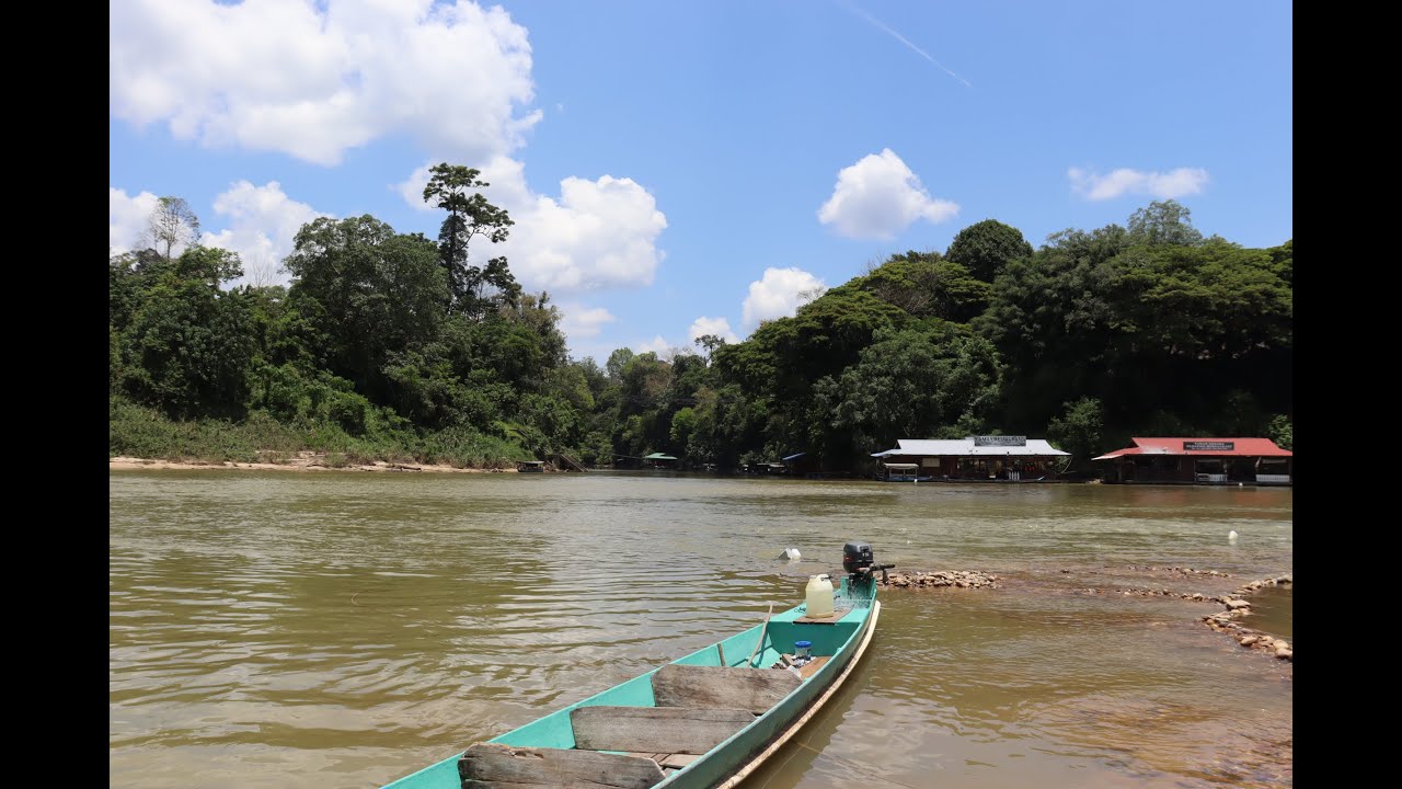 TAMAN NEGARA: Nella Giungla Malese