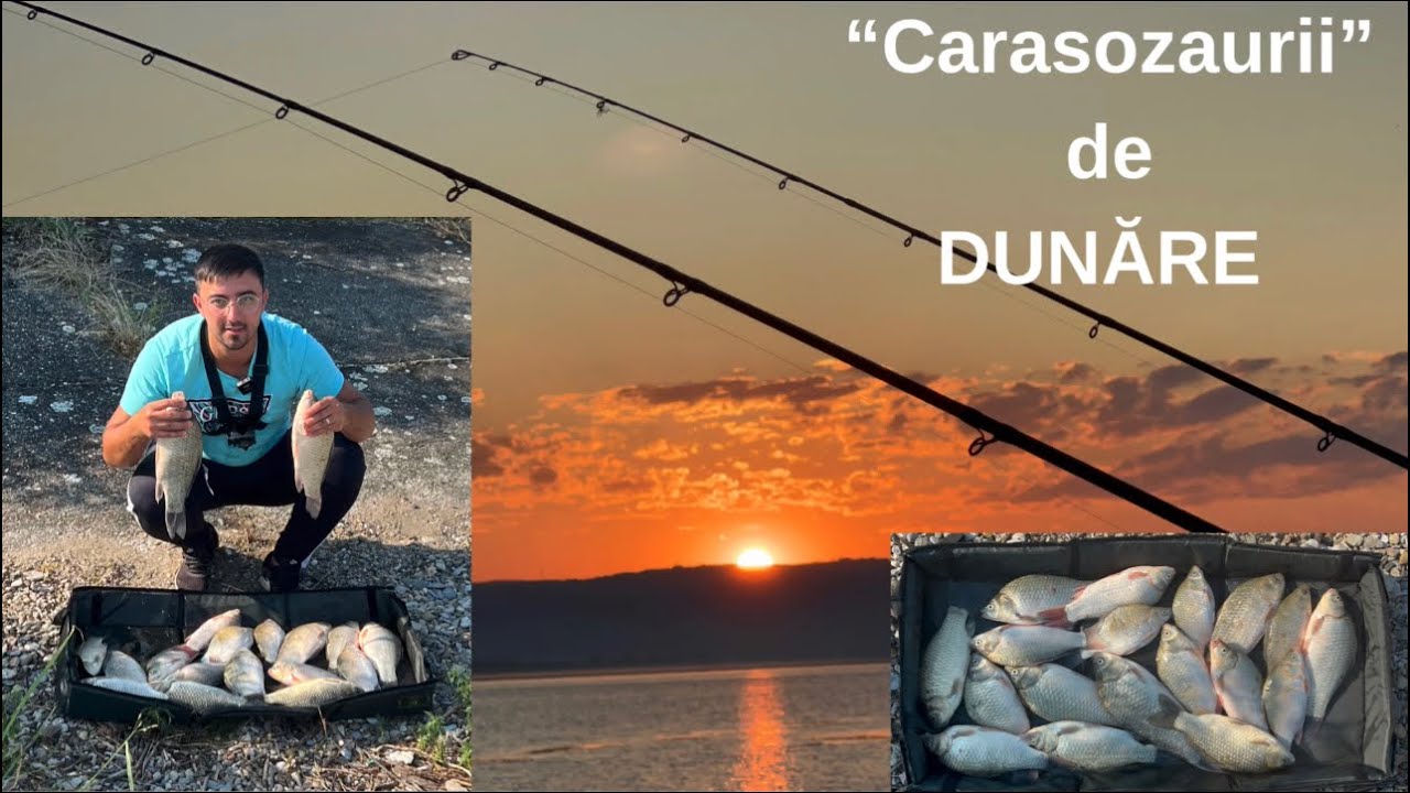 “Carasozaurii” de Dunăre👍🏼😱Pescuit la METHOD noaptea după caras 10:07.2023
