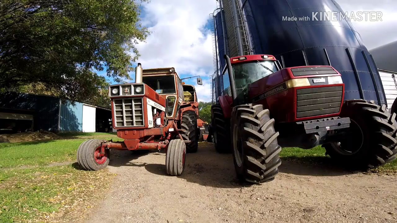 Chopping corn and filling silos