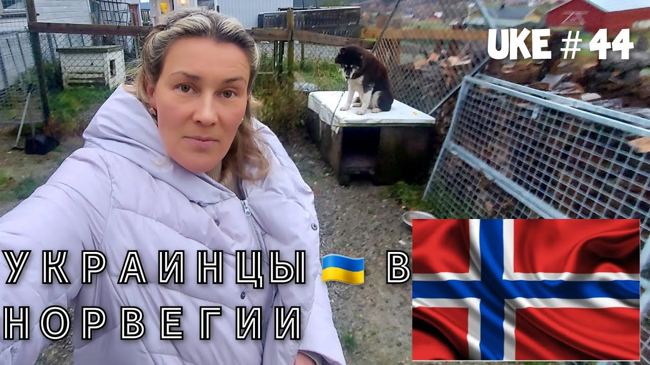 НОРВЕГИЯ,СЕГОДНЯ - 44 UKE  🇧🇻  ХРОНОМЕТРАЖ НАШЕЙ ЖИЗНИ / ПЕНСИОНЕРАМ ЗДЕСЬ ХОРОШО👍!!!