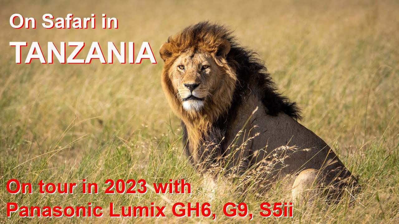 TANZANIA 2023 - My latest African photo safari with Panasonic Lumix GH6, G9 and S5 Mark ii