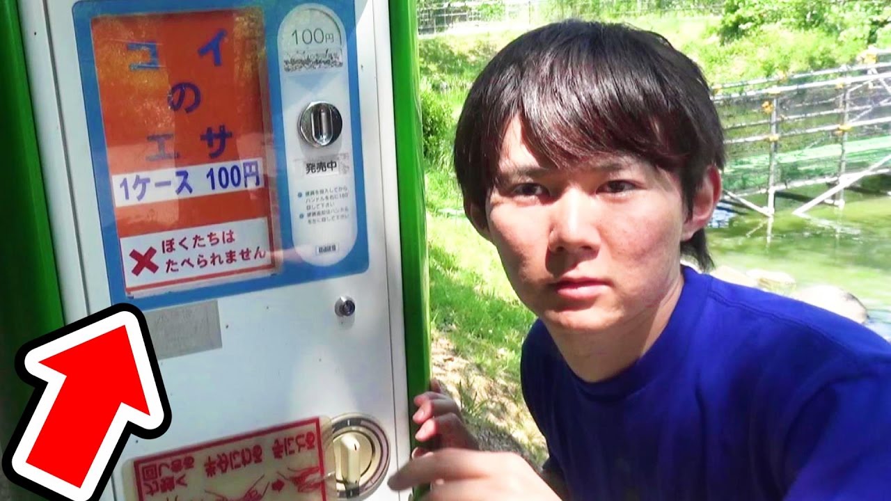 100円コイのエサ！アスレチック！さとちん