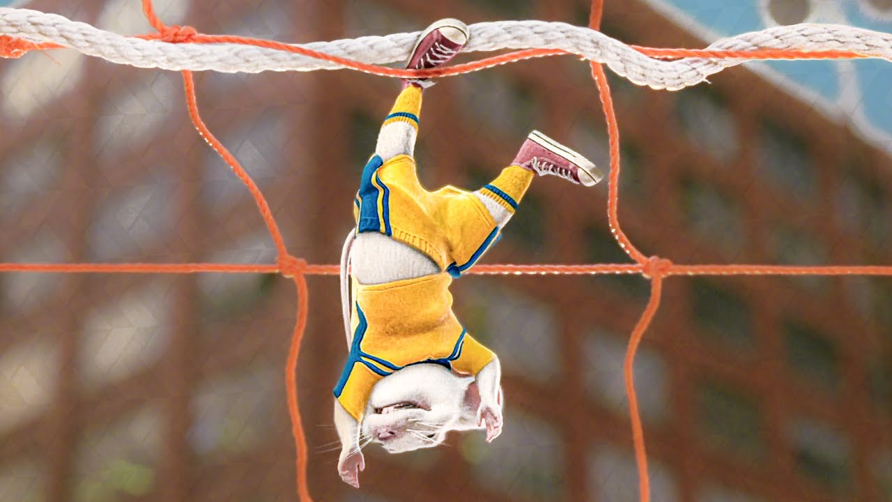 Stuart Shows Off His Soccer SKILLS | Stuart Little 2