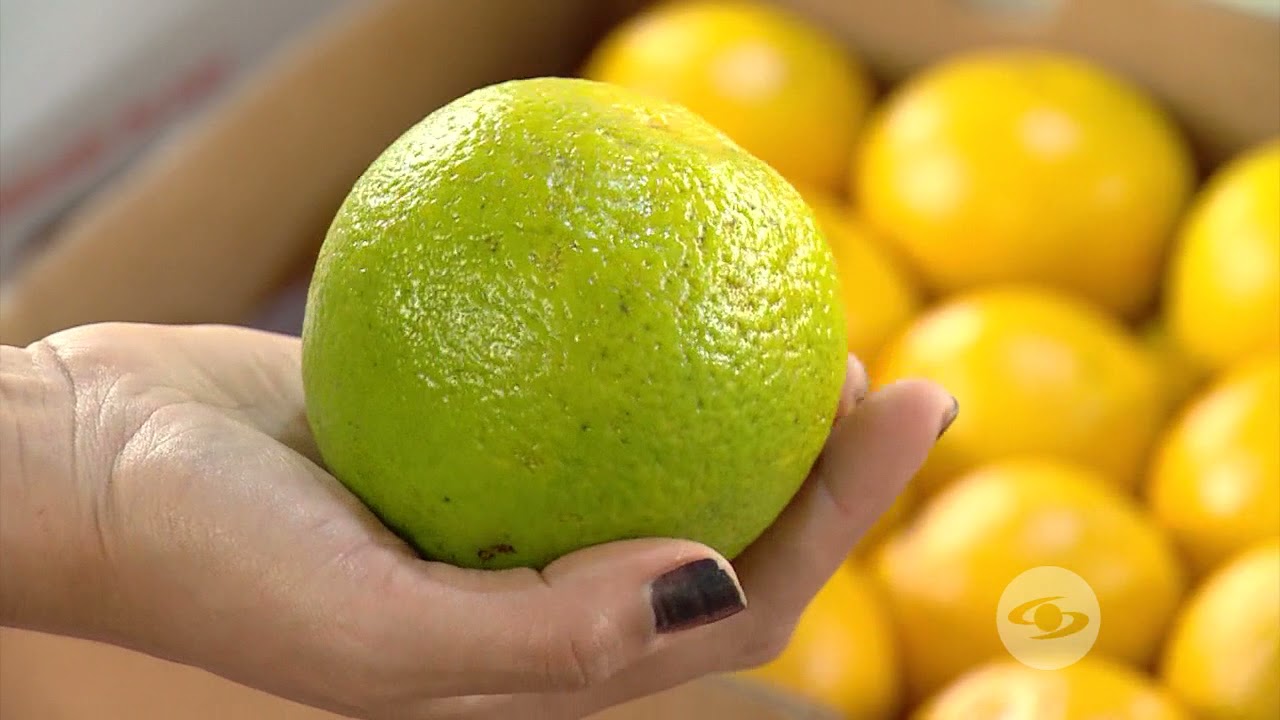 Desverdizado de la naranja
