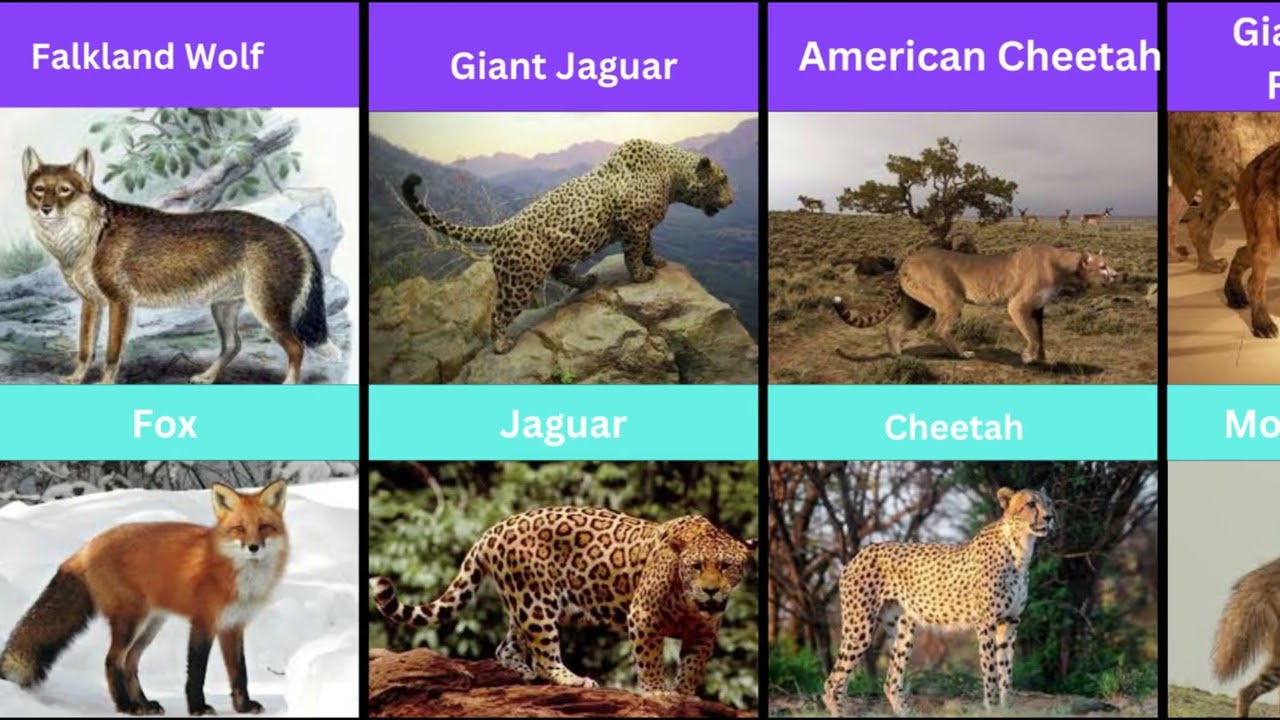 Extinct Giants That Became Small Modern Animals – Part 2