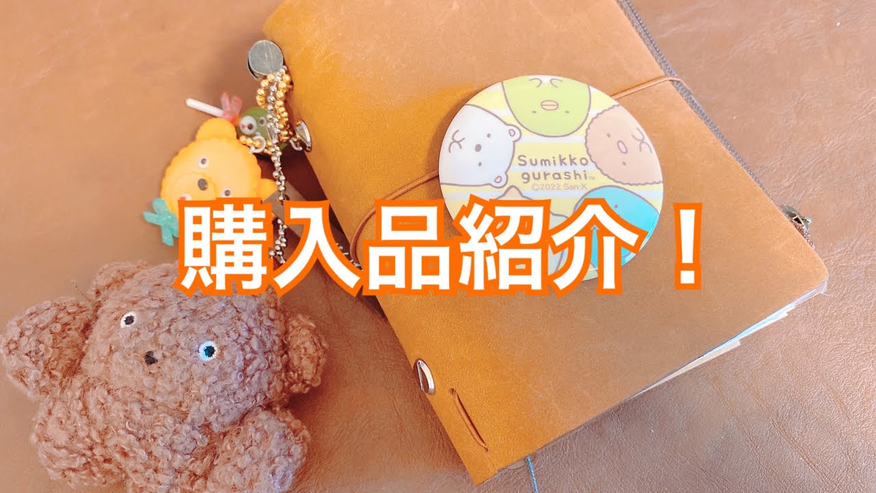 あるものを購入しました！❤️