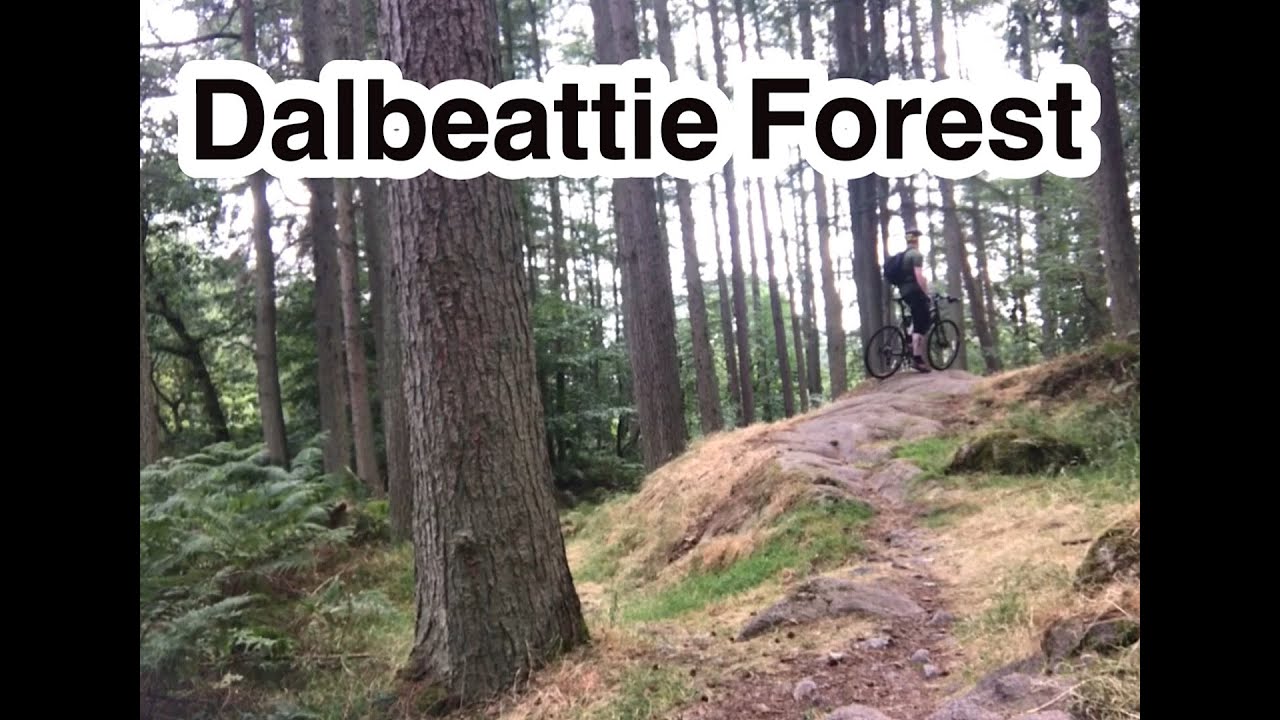 Dalbeattie Forest 7 Stanes Scotland
