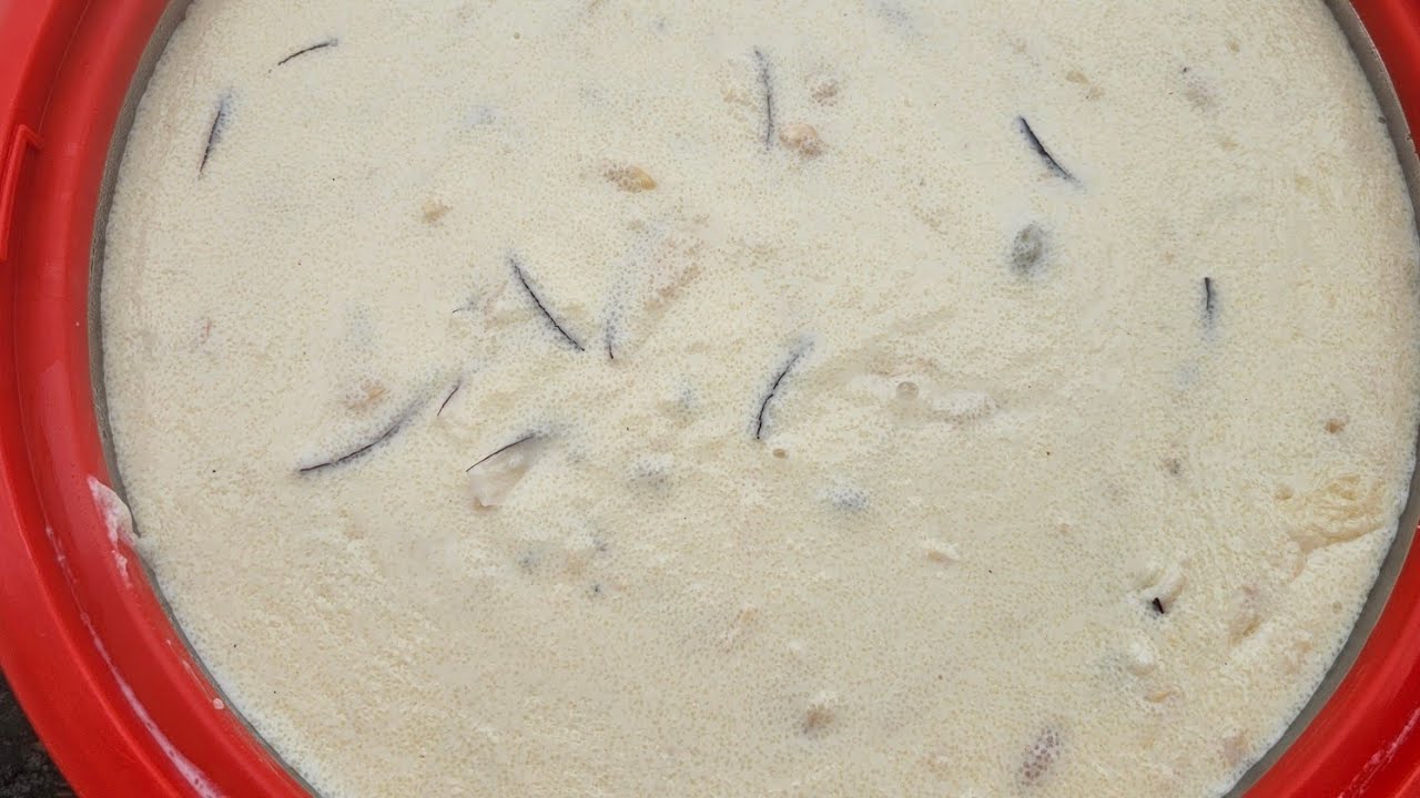 Kashmir's famous Firni recepie very delicious😋
