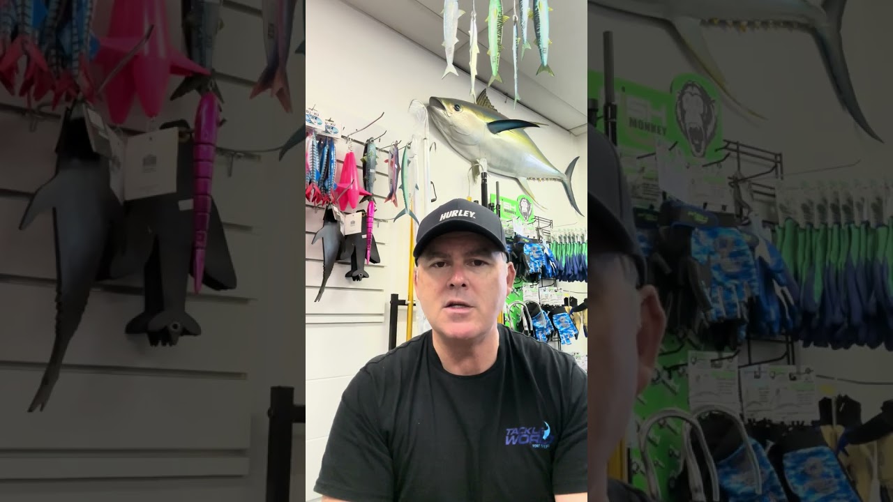Еженедельный отчет о рыболовстве в порту Стивенс компании Tackle World от 31.10.25