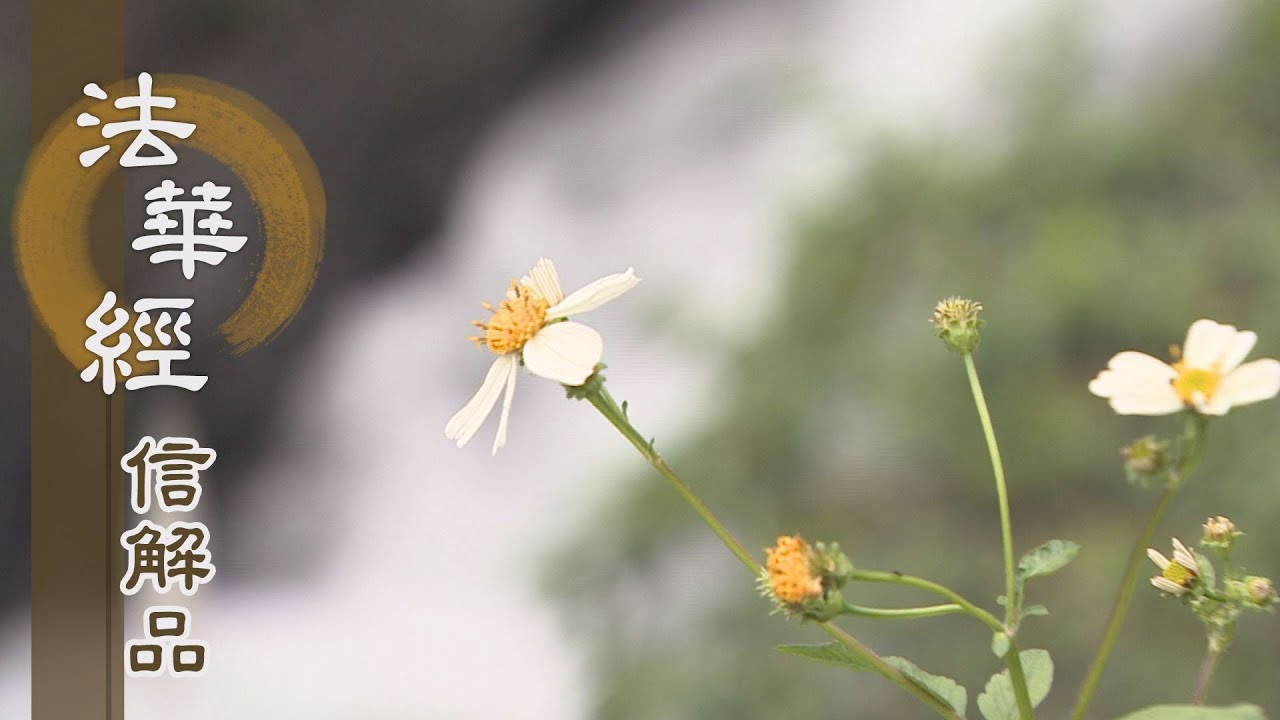 【靜思妙蓮華】法華經信解品 - 修學大乘 菩提覺道 - 20210604 第841集