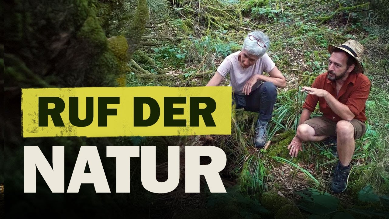 Fühlst du dich gerufen? So wirst du Naturcoach! Die Naturcoachingausbildung.