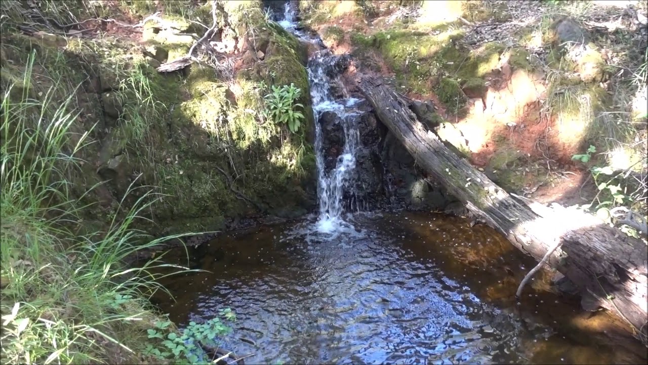 A cool hike in Cool, California, our home town.