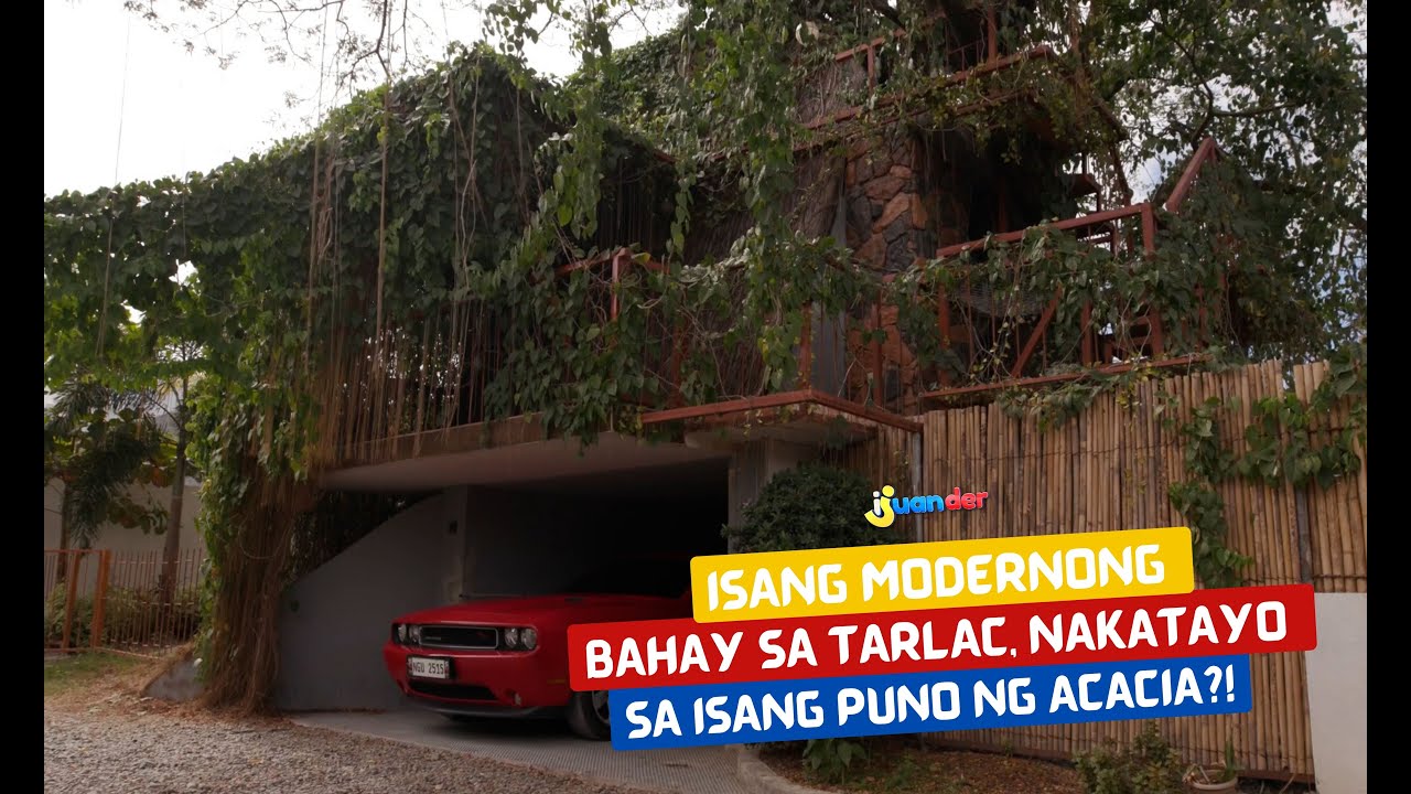Isang modernong bahay sa Tarlac, nakatayo sa isang puno ng Acacia?! | I Juander