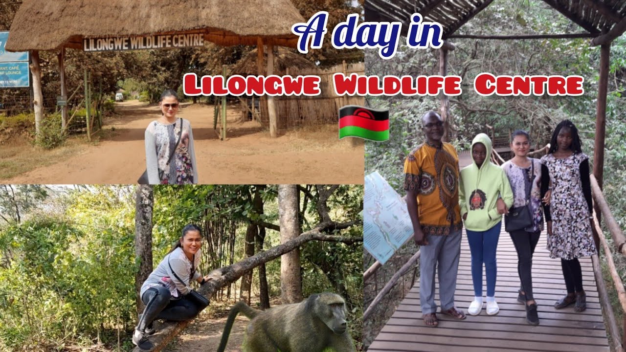 A day in Lilongwe wildlife Centre || Woman vs Wild || Jungle Safari || African Safari 4k || Travel