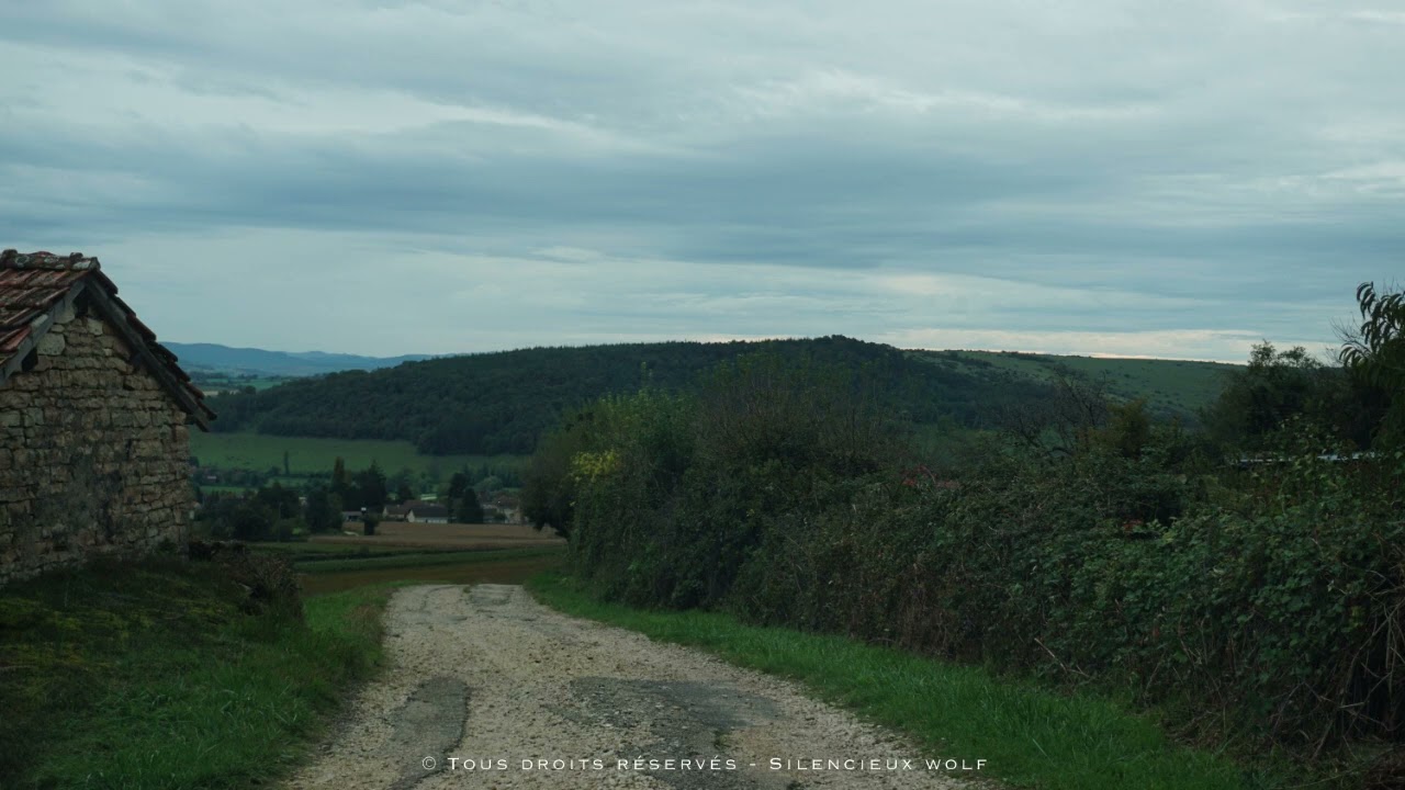Balade musicale avec une photographie de chemin &agrave; la campagne 🛤🍃🎧 #relaxation #relaxingmusic #france