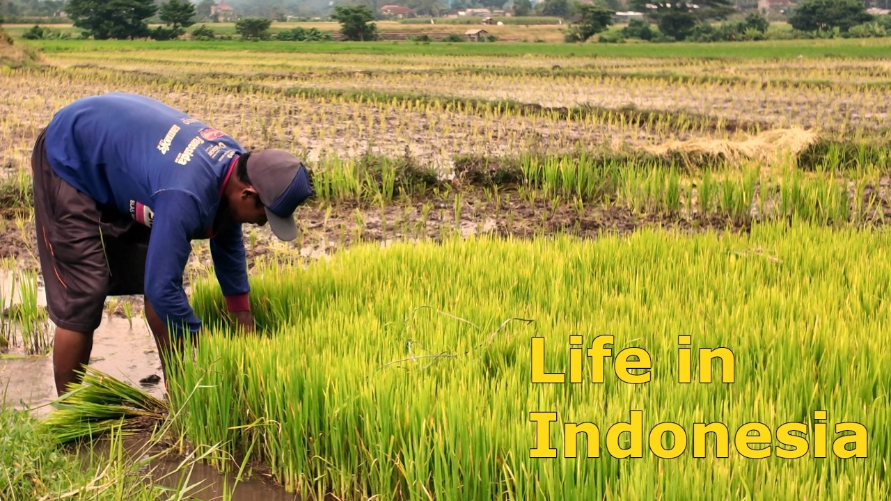 Life in Indonesia | 4K