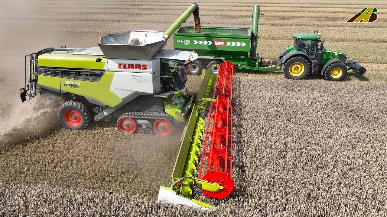 Weizenernte 2025 neuer Mähdrescher Claas Lexion 8800 mit 13,80m SW & Traktoren Landwirtschaft heute