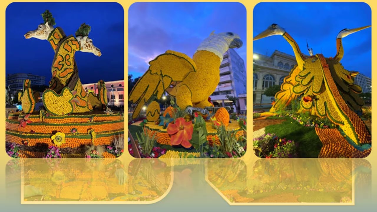 61 Menton par Mélodie 92ème Fête du Citron 2026