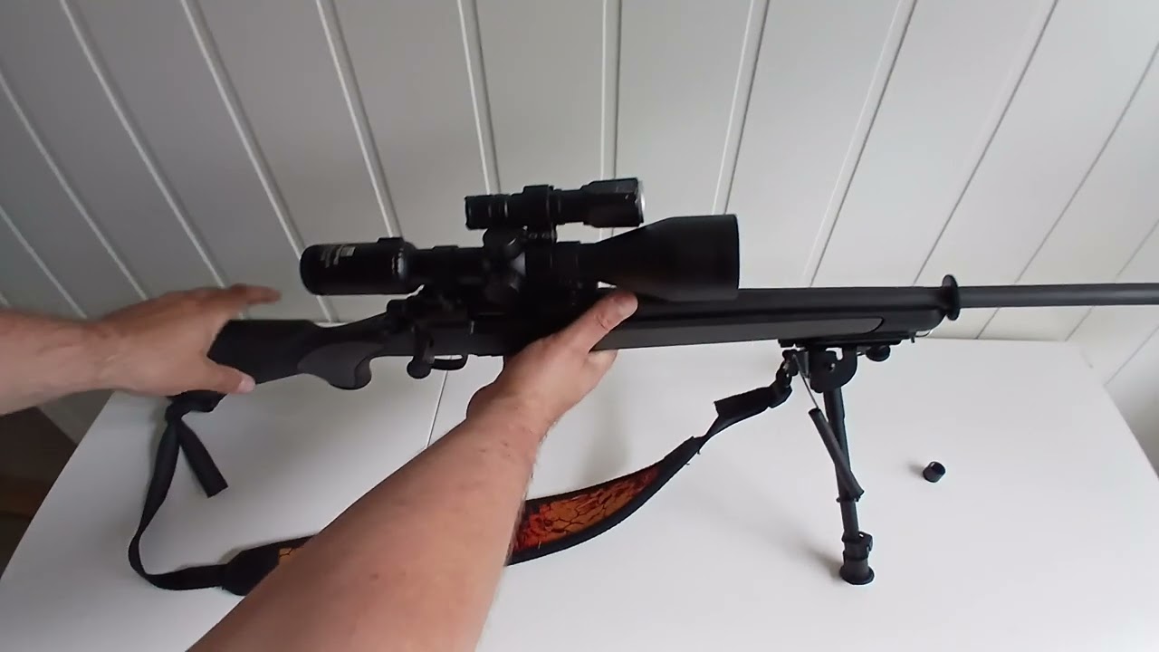 Remington 700 308 Win