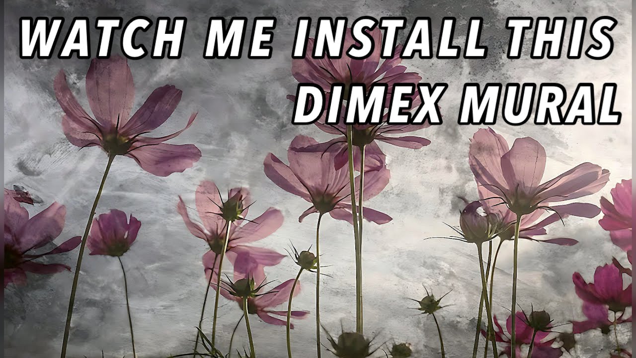INSTALLING A DIMEX WALLPAPER MURAL