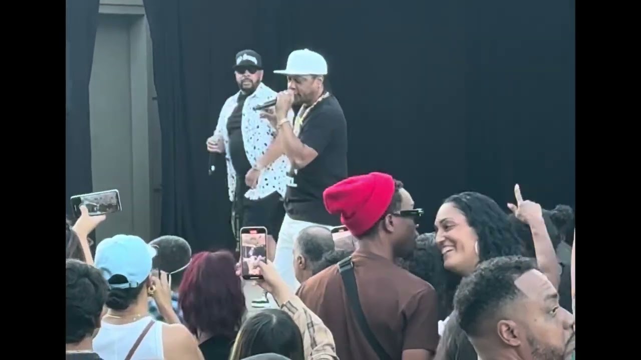 DJ Quik Live in the Park – Part 3