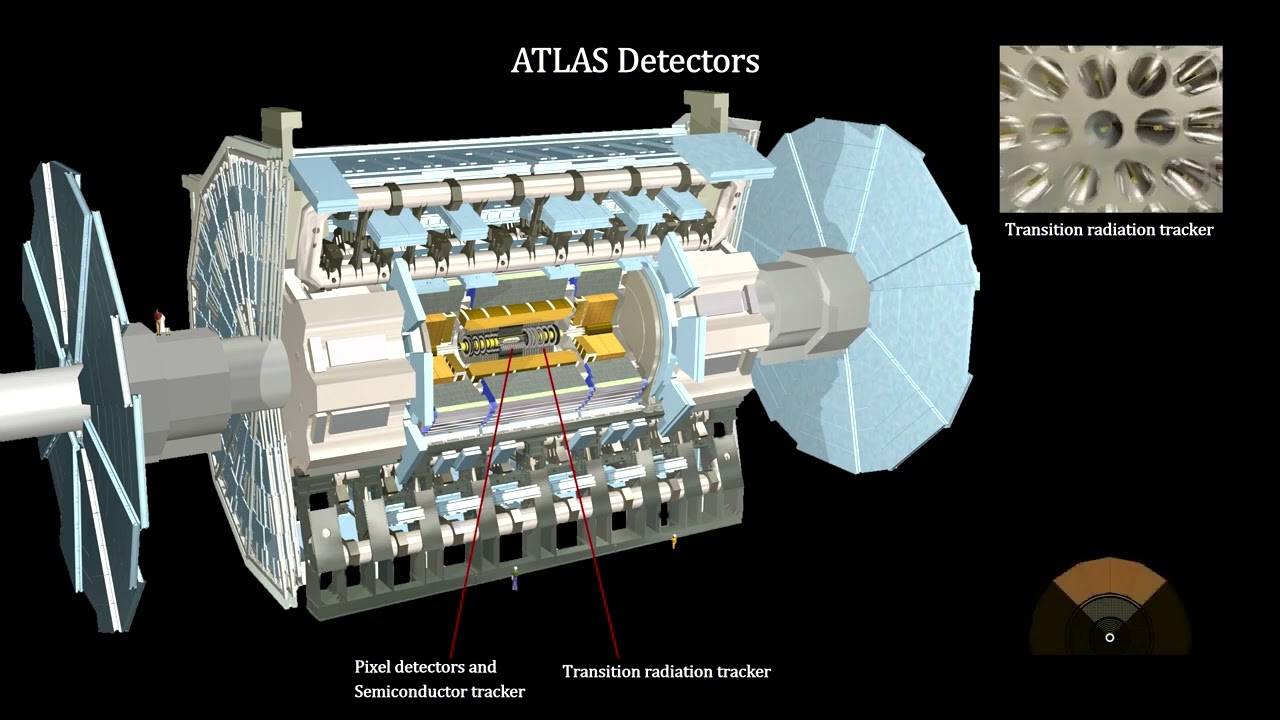What are CMS and ATLAS detectors at CERN? How they are working?