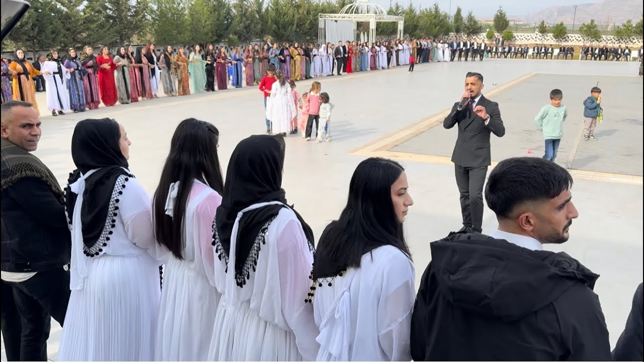 Cizre Batü Aşiret Düğünü - Devran Ronahi - 2026 