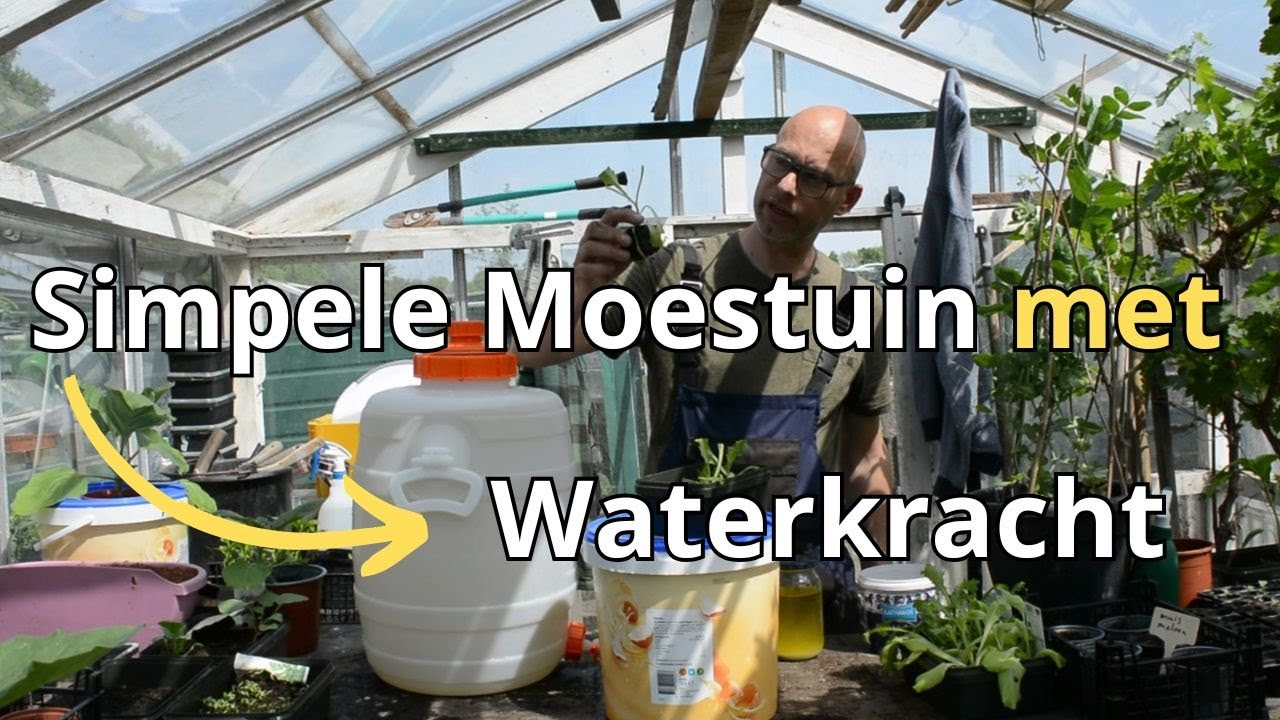 Moestuin Zonder Rommel – Zo Werkt Hydrocultuur