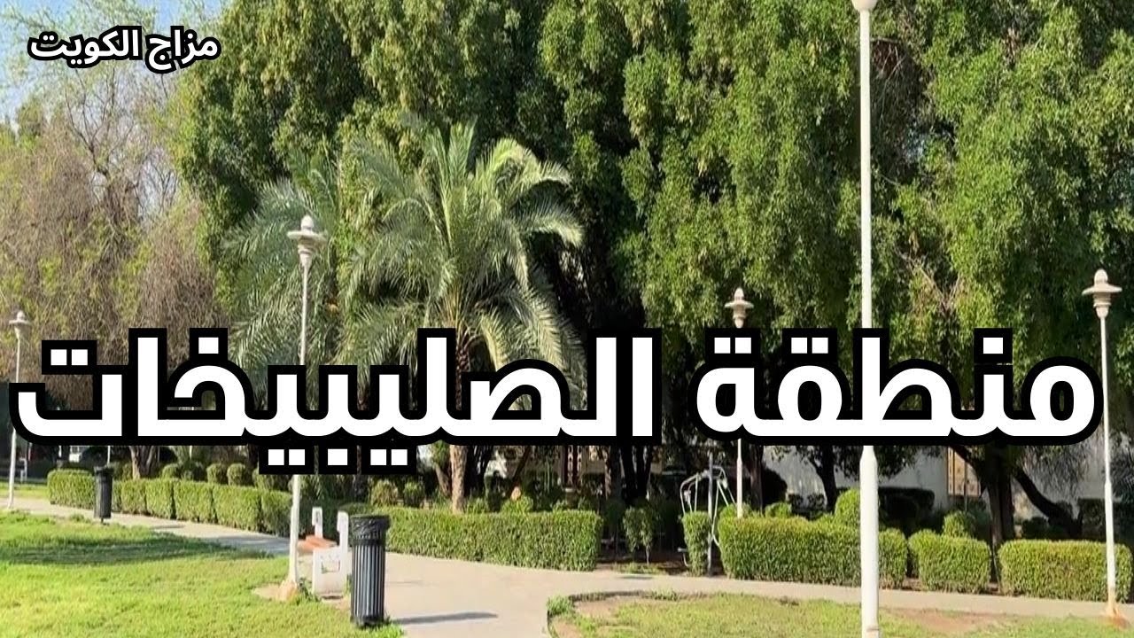 منطقة الصليبيخات - محافظة العاصمة - دولة الكويت - مزاج الكويت